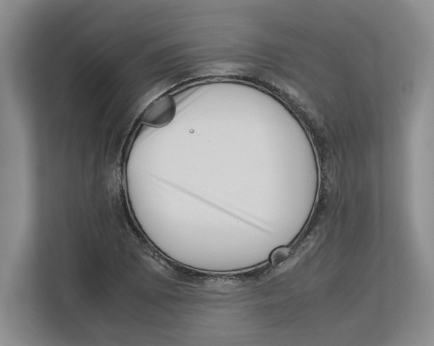 X0000112491073200909141159