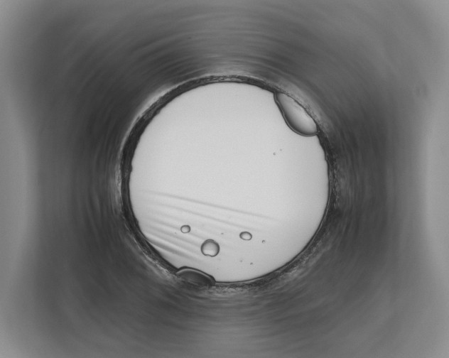 X0000112491076200909141159