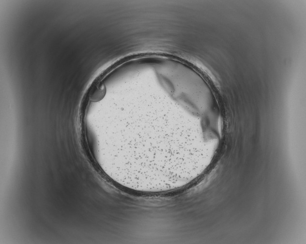 X0000112491077200909141159