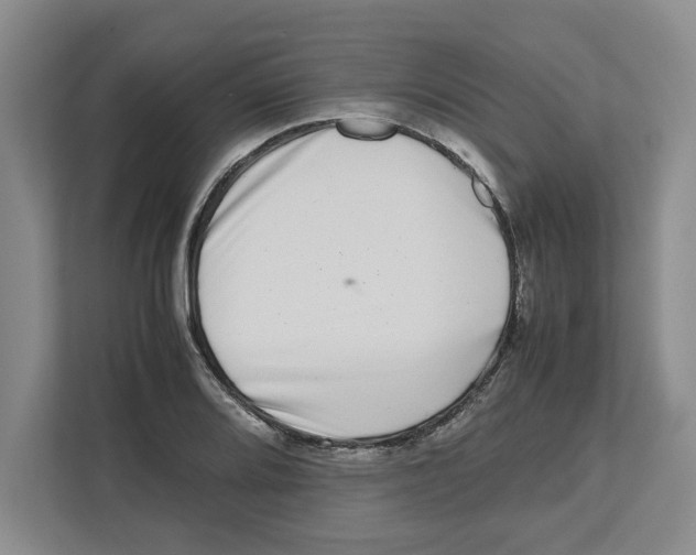 X0000112491080200909141159