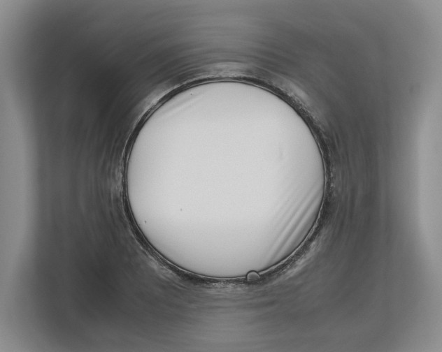 X0000112491081200909141159