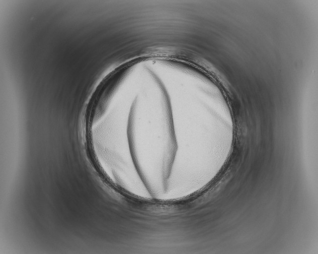 X0000112491083200909141159