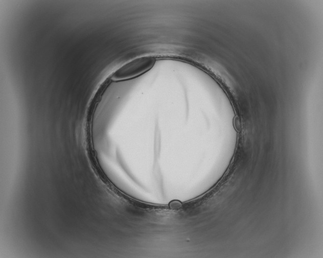 X0000112491085200909141159
