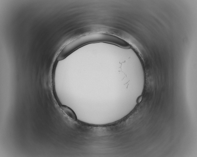 X0000112491088200909141159