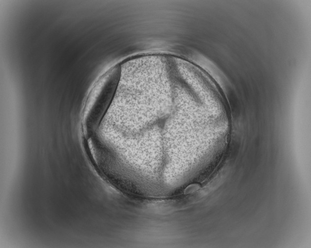 X0000112491093200909141159