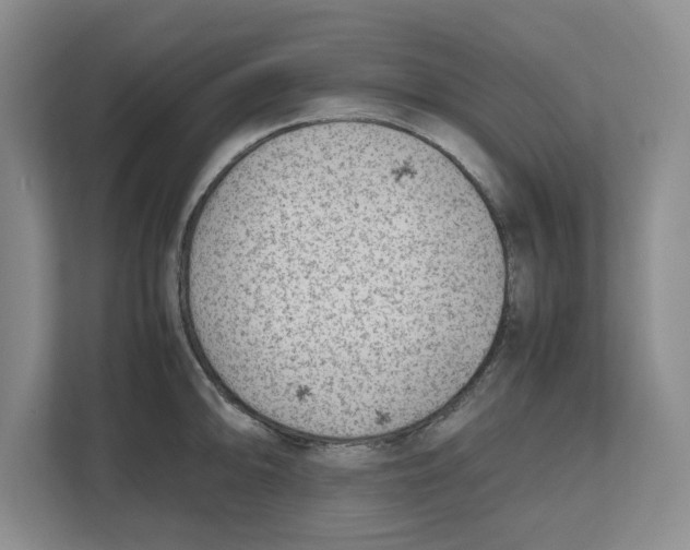 X0000112491094200909141159