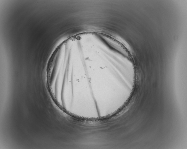 X0000112491095200909141159