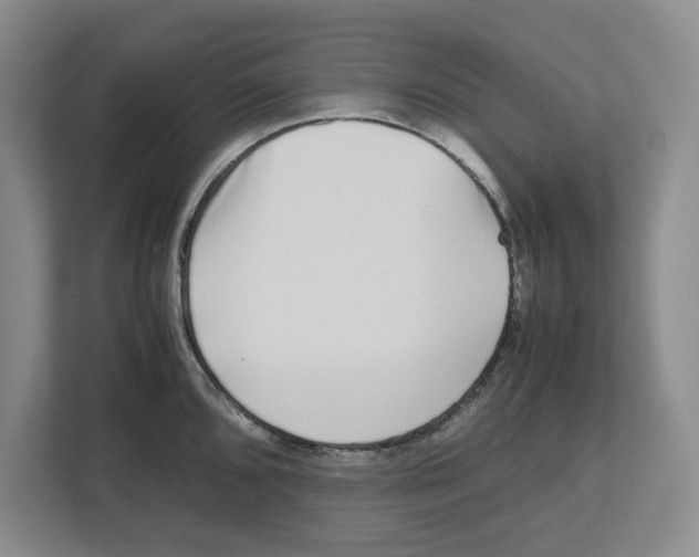 X0000112491096200909141159