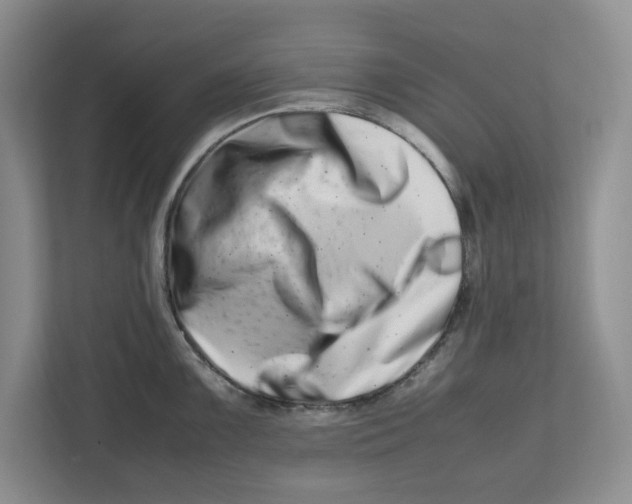 X0000112491099200909141159