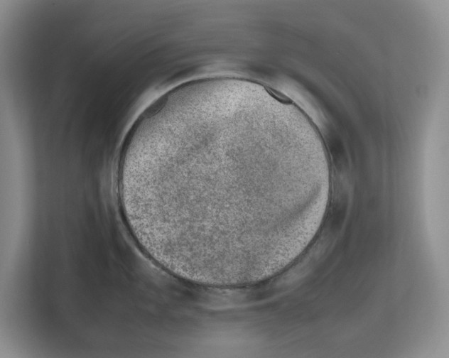 X0000112491101200909141159