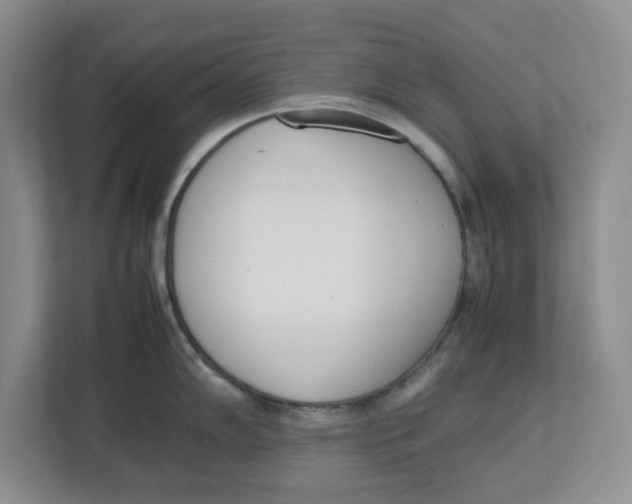 X0000112491102200909141159