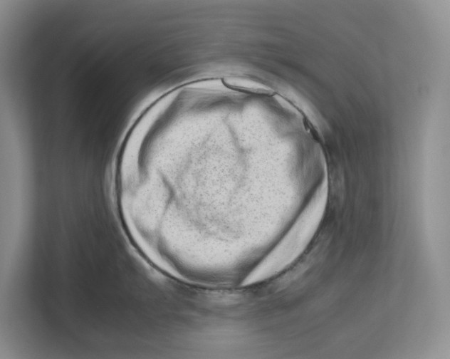 X0000112491103200909141158