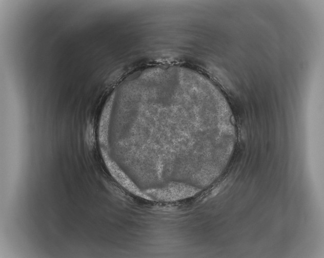 X0000112491106200909141158