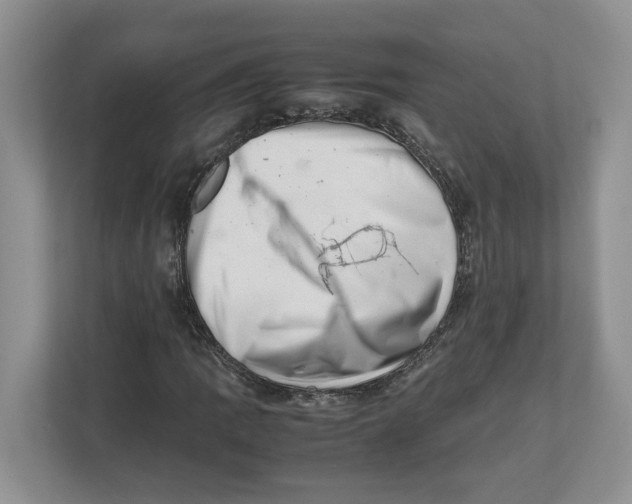 X0000112491109200909141158