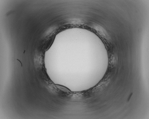 X0000112491110200909141158