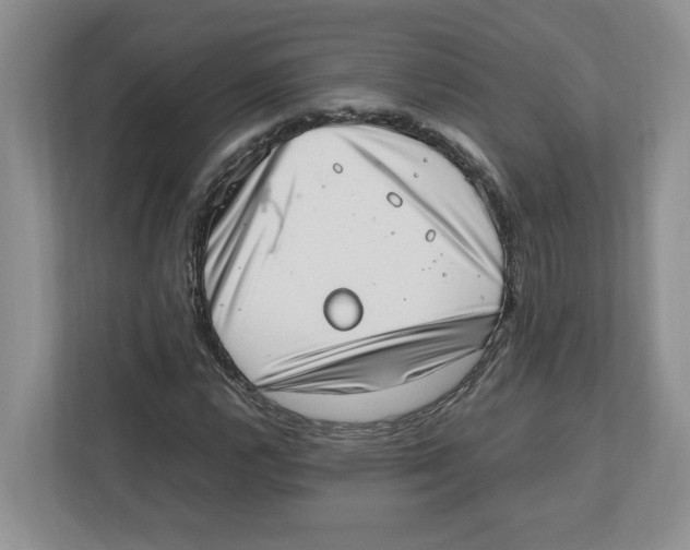 X0000112491112200909141158