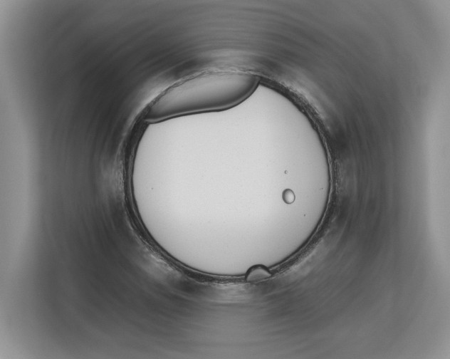 X0000112491114200909141158