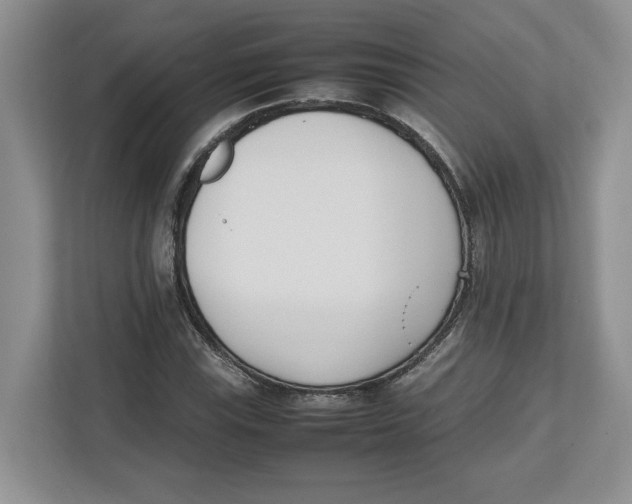 X0000112491115200909141158