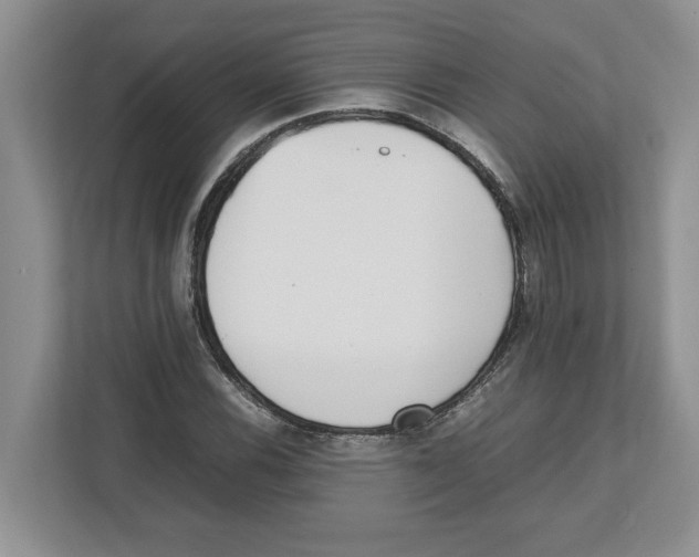 X0000112491116200909141158
