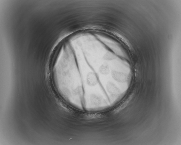 X0000112491117200909141158