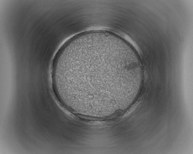 X0000112491124200909141158