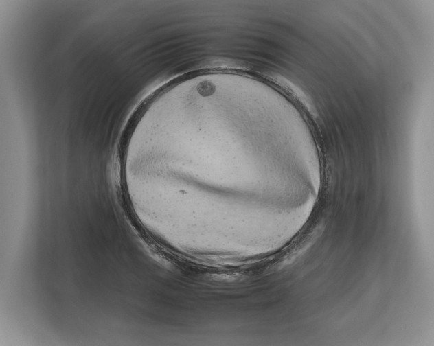 X0000112491125200909141158