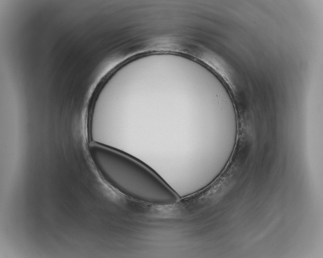 X0000112491128200909141158