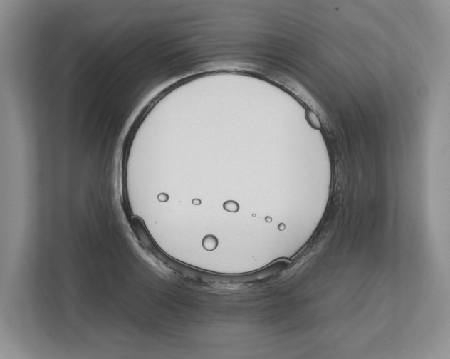 X0000112491132200909141158