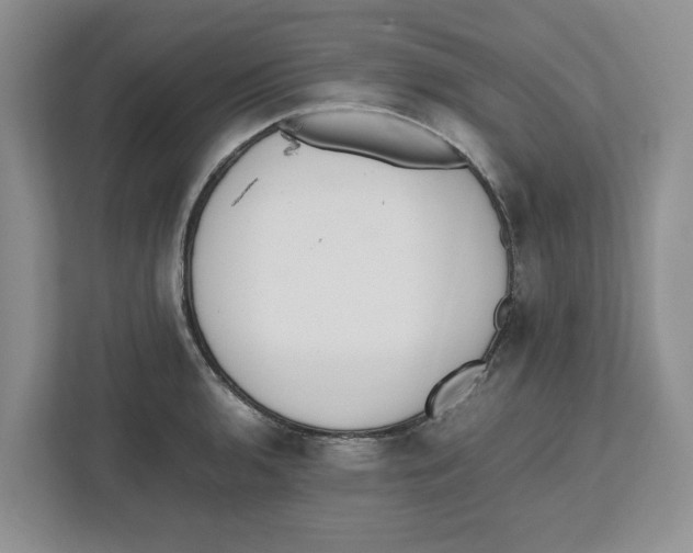 X0000112491136200909141158