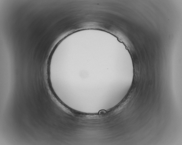 X0000112491142200909141158