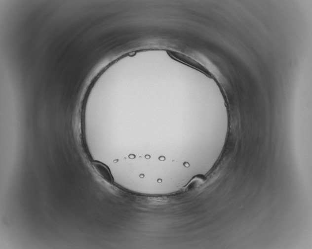X0000112491144200909141158