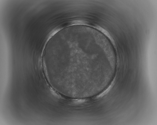 X0000112491145200909141158