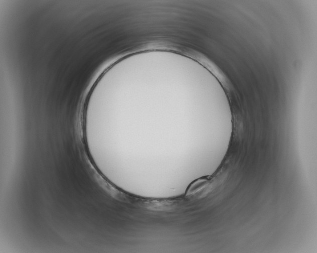 X0000112491148200909141158