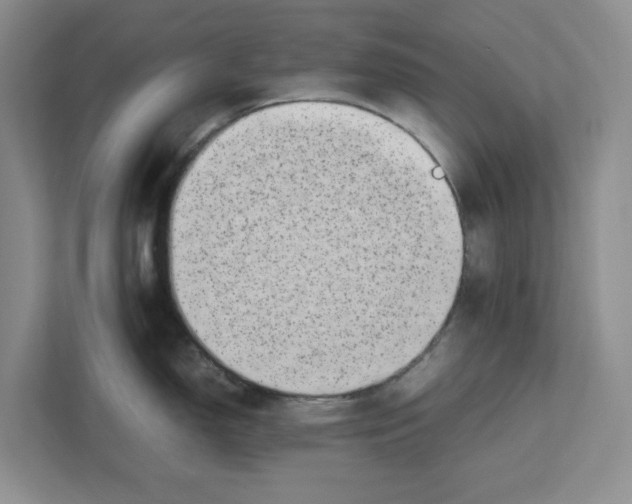 X0000112491150200909141158