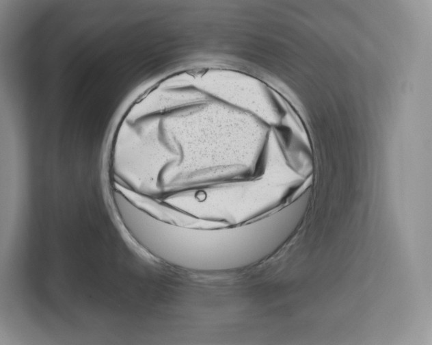 X0000112491152200909141158