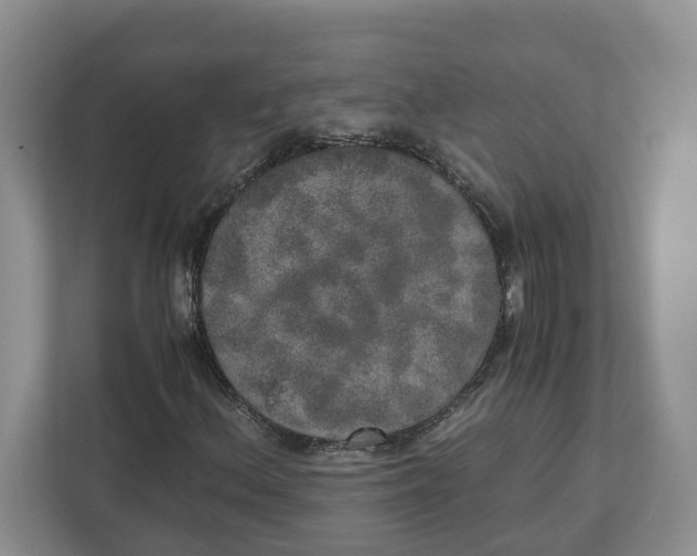 X0000112491156200909141158