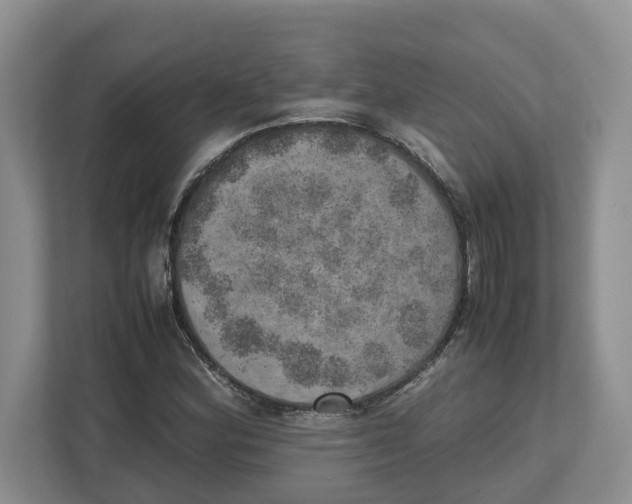 X0000112491164200909141158
