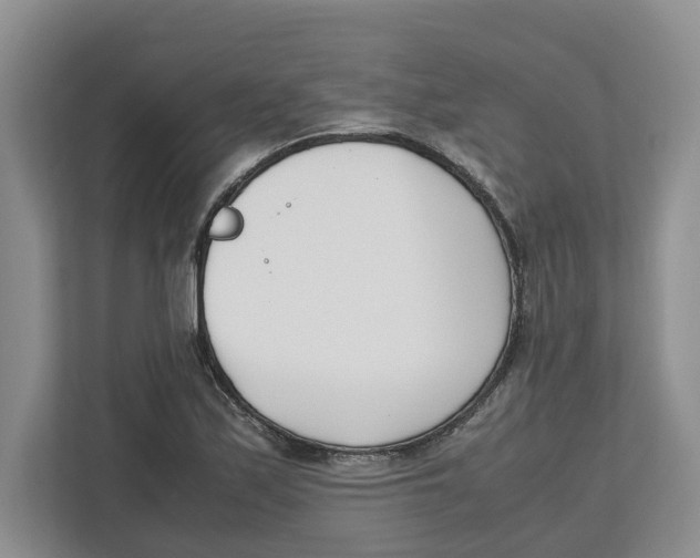X0000112491171200909141158