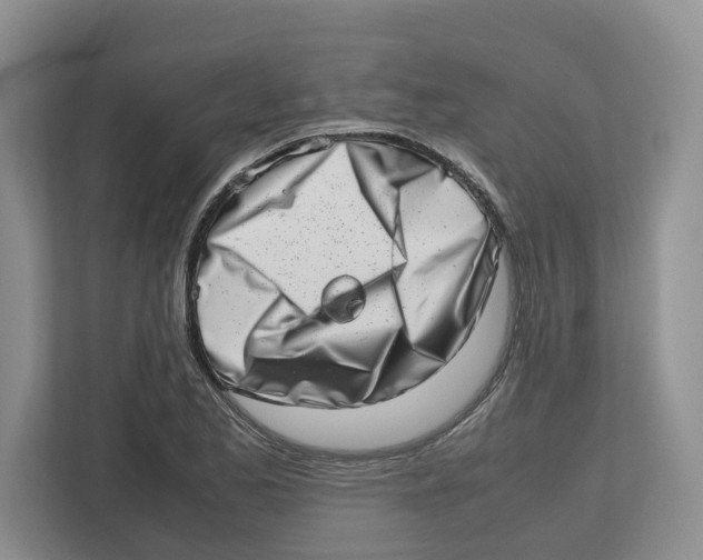 X0000112491173200909141158