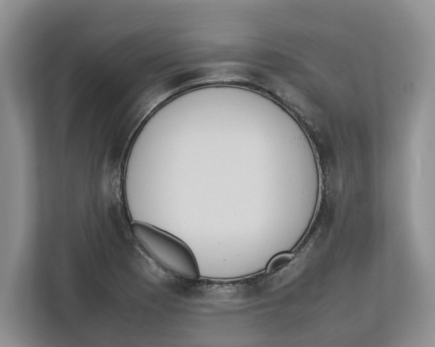 X0000112491177200909141158