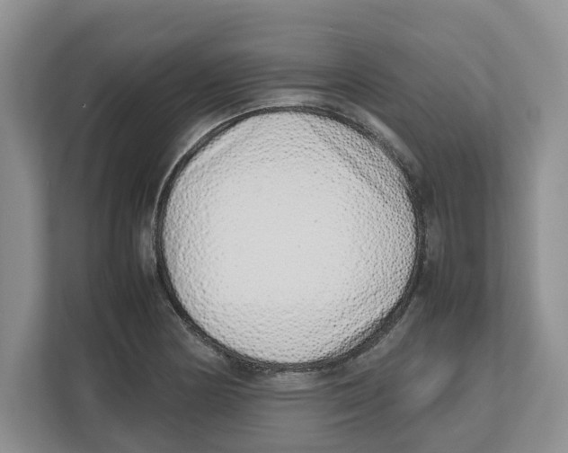 X0000112491178200909141158