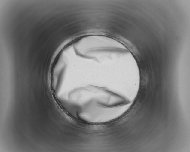 X0000112491188200909141157