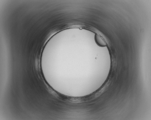 X0000112491194200909141157