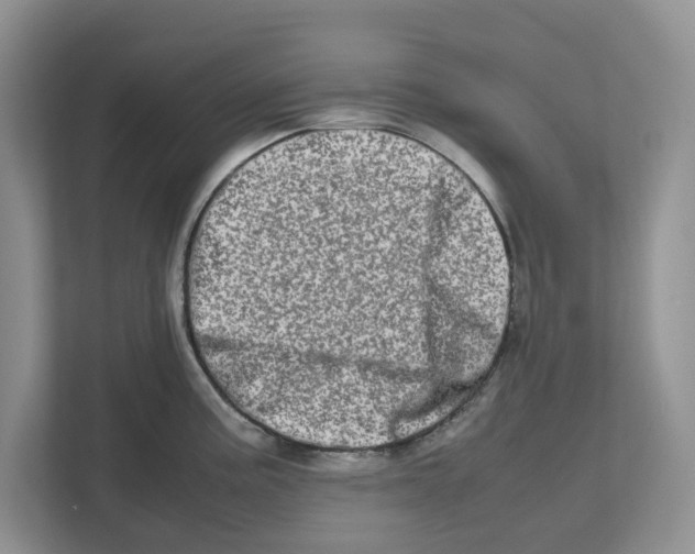 X0000112491195200909141157