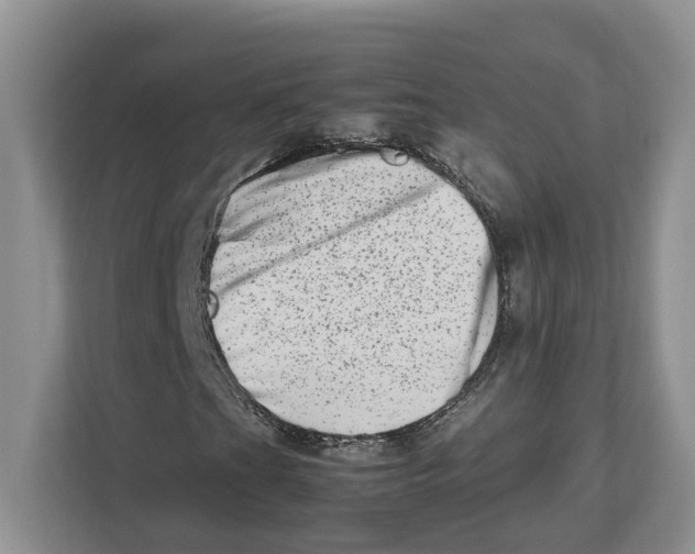 X0000112491201200909141157