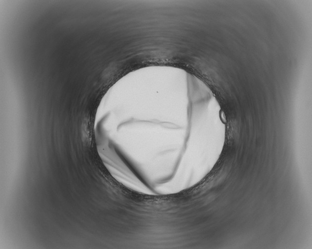 X0000112491202200909141157