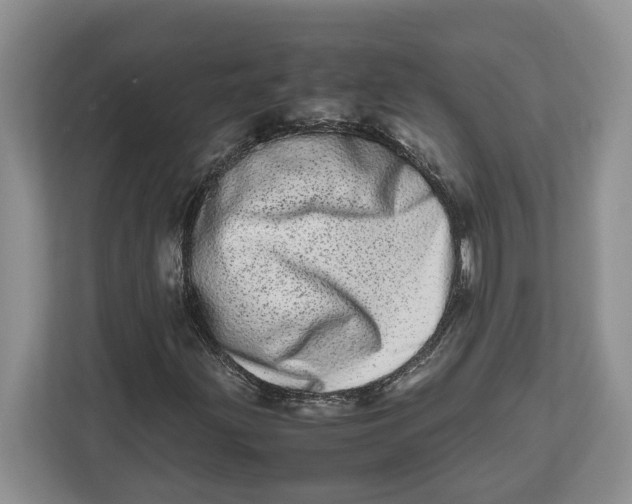 X0000112491203200909141157