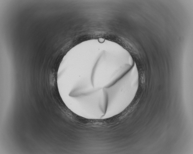 X0000112491204200909141157