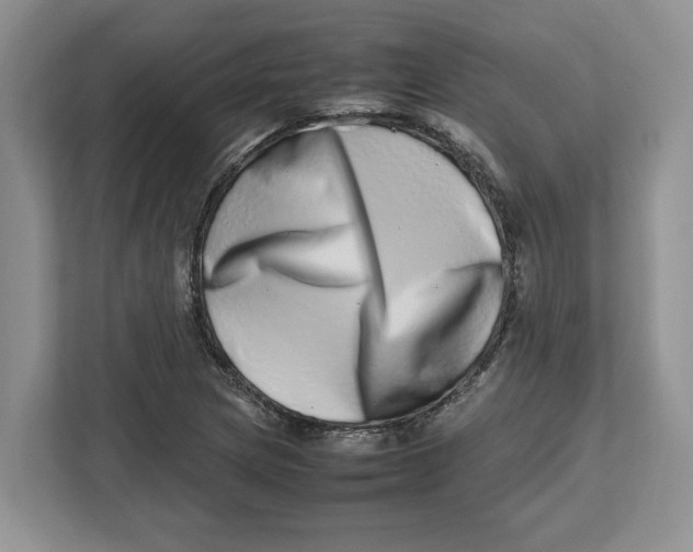 X0000112491217200909141157