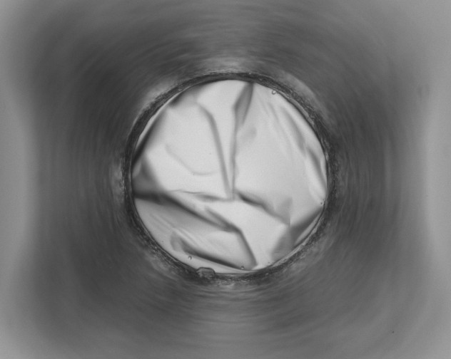 X0000112491218200909141157